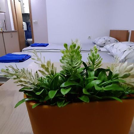 Apartment Riki 3 Near Bus Station أوهغيد المظهر الخارجي الصورة
