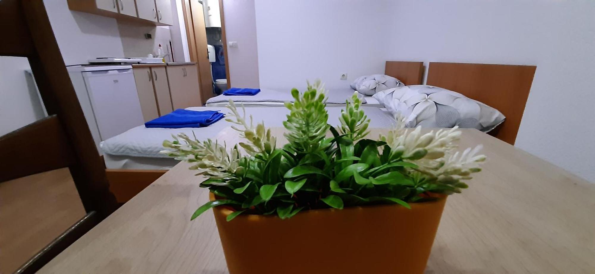 Apartment Riki 3 Near Bus Station أوهغيد المظهر الخارجي الصورة